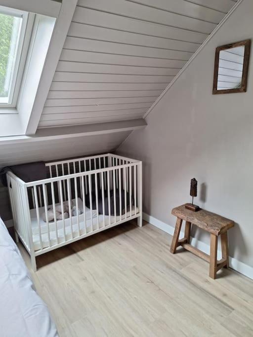 Family Wellness Lodge 4 Personen Zuid-Holland! Ooltgensplaat Экстерьер фото